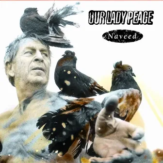 Naveed by Our Lady Peace