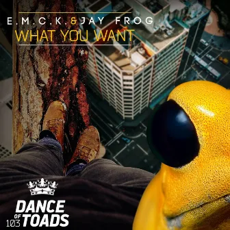 What You Want by E.M.C.K.