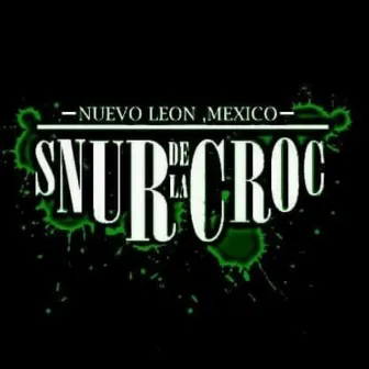 Para Toda La Zona by Snur De La Croc