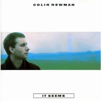 It Seems by Colin Newman