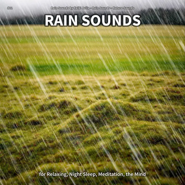 Rain Sounds, Pt. 1