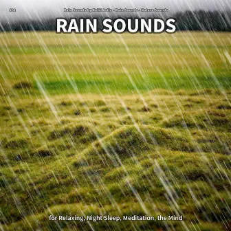 #01 Rain Sounds for Relaxing, Night Sleep, Meditation, the Mind by Rain Sounds by Keiki Avila