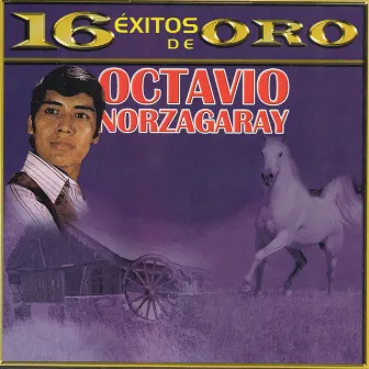 16 Exitos by Octavio Norzagaray