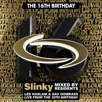 Slinky's 16th Birthday by Dav Gomrass