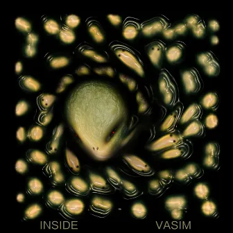 Inside by Vasim