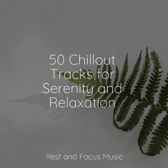 50 Chillout Tracks for Serenity and Relaxation by Sleepy Times