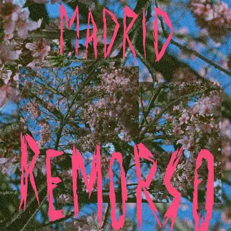 Remorso II by Madrid