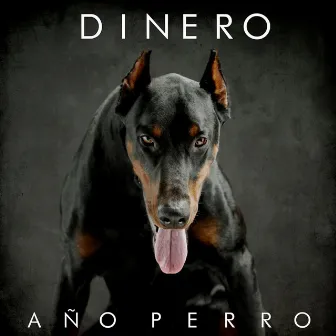 Año perro by Dinero