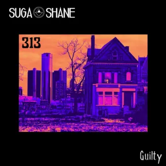 313 by Suga Shane