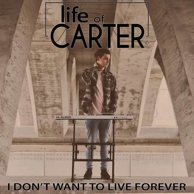 I Don't Want to Live Forever - Live