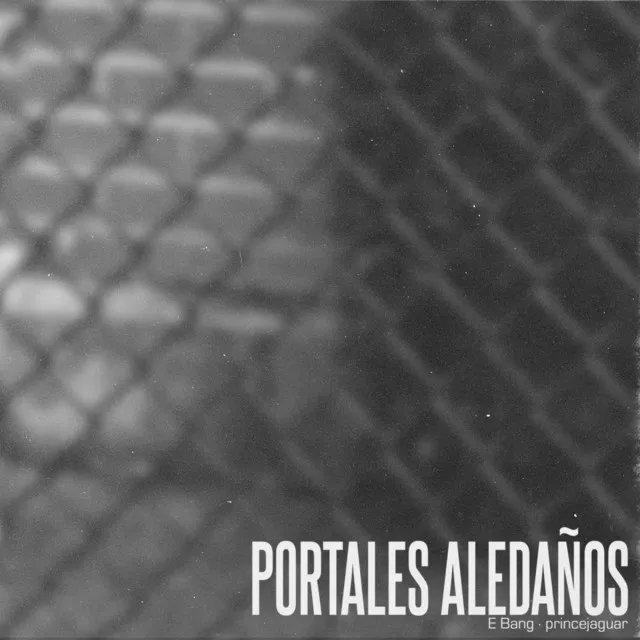 Portales Aledaños