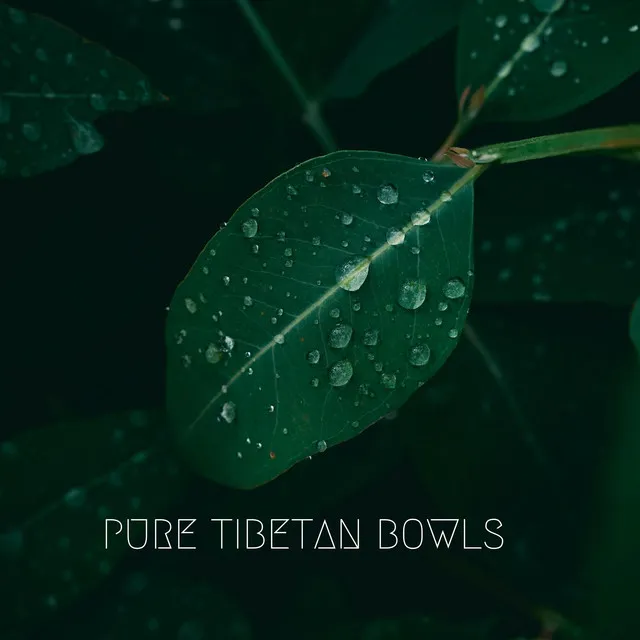 Pure Tibetan Bowls