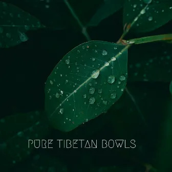 Pure Tibetan Bowls by Mido Gupta