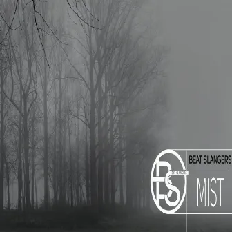 Mist by Beat Slangers