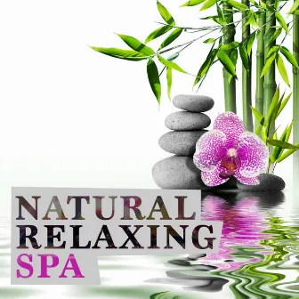 Natural Relaxing Spa by Nature Sounds Meditation