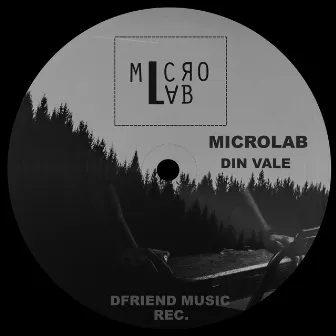 Din Vale by Microlab