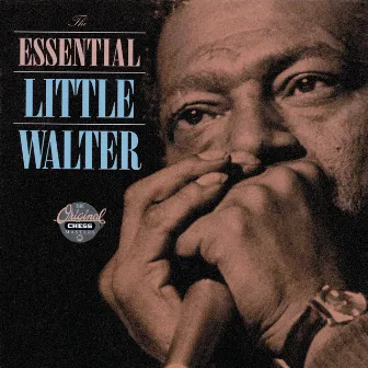 The Essential Little Walter by Little Walter