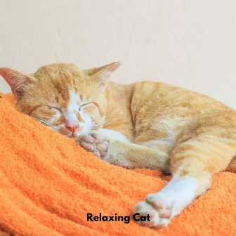 Relaxing Cat by Cat Music Jukebox