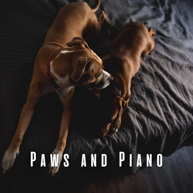 Paws and Piano: Soft Piano Tunes for Relaxed Dogs