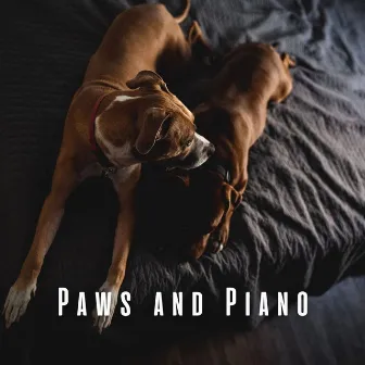 Paws and Piano: Soft Piano Tunes for Relaxed Dogs by Dog Jazz Songs