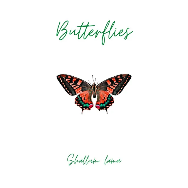 Butterflies