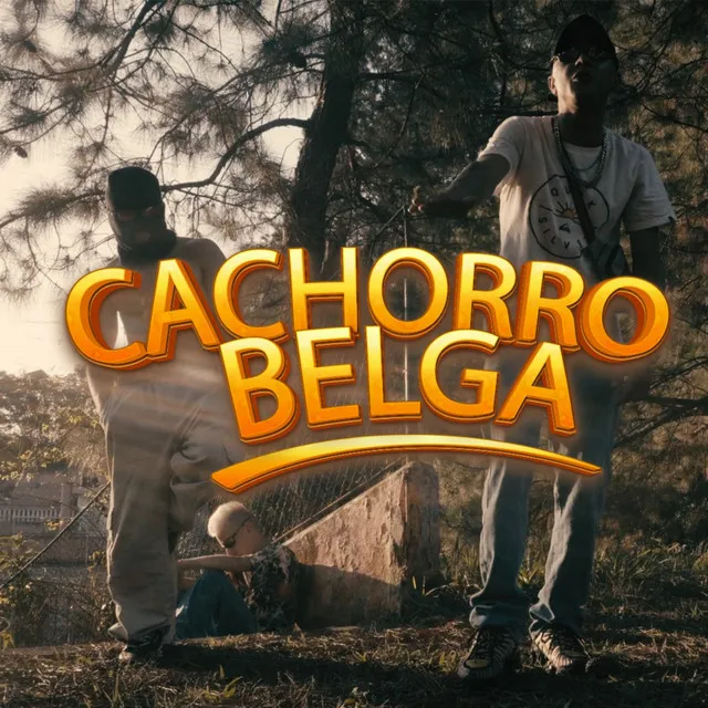 Cachorro Belga