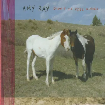 Didn't It Feel Kinder by Amy Ray