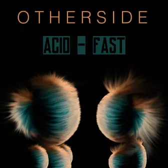 Acid - Fast by Otherside