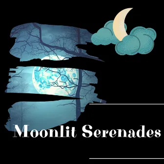 Moonlit Serenades by Night Sounds Channel