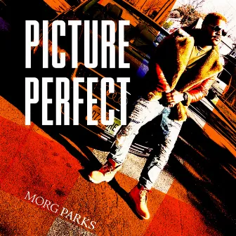 Picture Perfect by Morg Parks