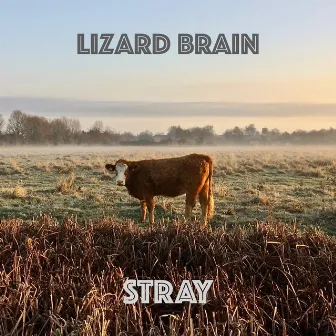 Stray by Lizard Brain