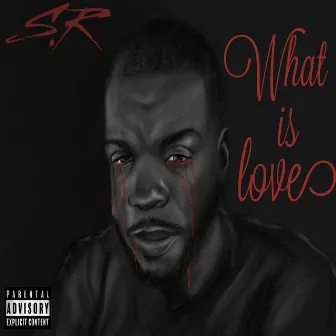 What Is Love by S.R