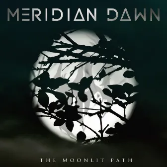 The Moonlit Path by Meridian Dawn