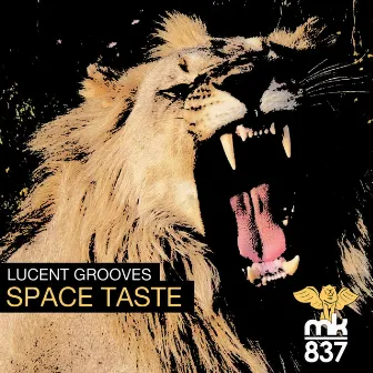 Space Taste by Tonal Grooves