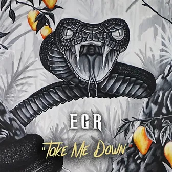 Take Me Down by EGR