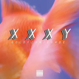 Goldfish by XXXY