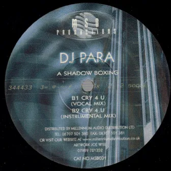 DJ Para Shadow Boxing by Para