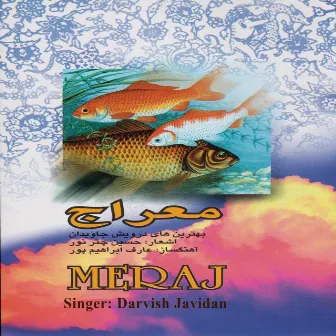 Meraj by Darvish Javidan