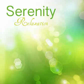 Serenity Relaxation Music: 101 Relaxing Songs and Music for Relaxation, Serenity, Sound Therapy, Spa and Deep Sleep Music Relax with Delta Waves and Isochronic Tones for Wellness, Massage, Yoga, Healing Meditation by Serenity Relaxation Music Spa