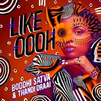 Like Oooh by Thandi Draai