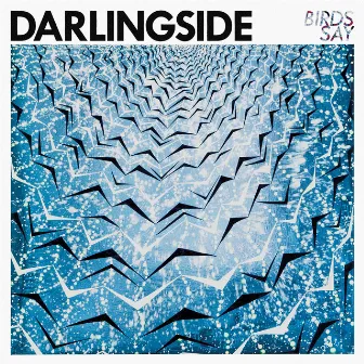 Birds Say (Deluxe) by Darlingside