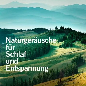 Naturgeräusche für Schlaf und Entspannung by Natürliche Klänge und Geräuche