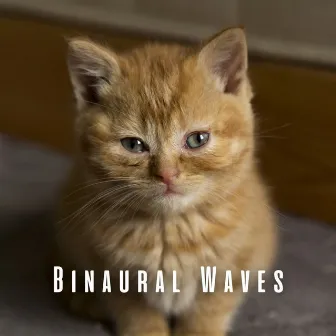 Binaural Waves: Rainy Theta Waves for Soothing Cats by Soft Sounds