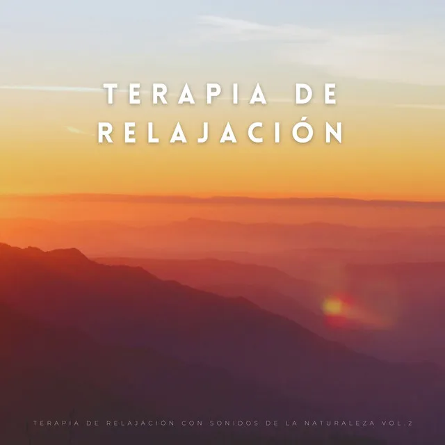 Sonido De La Terapia Del Agua