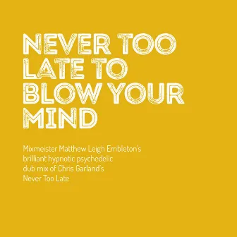 Never Too Late to Blow Your Mind (Dub Mix of Chris Garland's Never Too Late) by Matthew Leigh Embleton