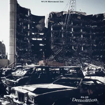 Demolition by D.L.I.D.