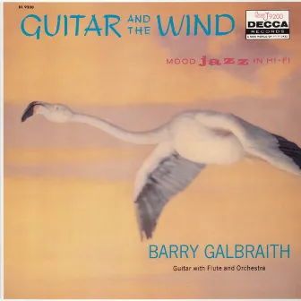 Guitar And The Wind by Barry Galbraith