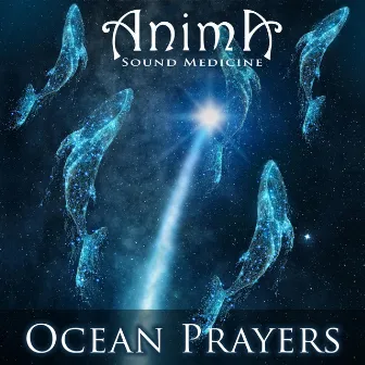 Ocean Prayers (Winter Solstice Mix) by Anima