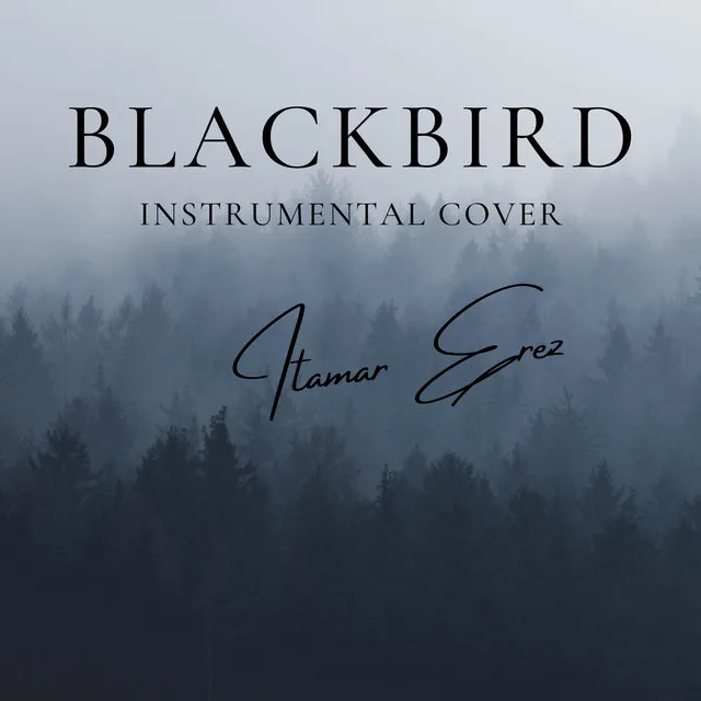 Blackbird - Instrumental Cover