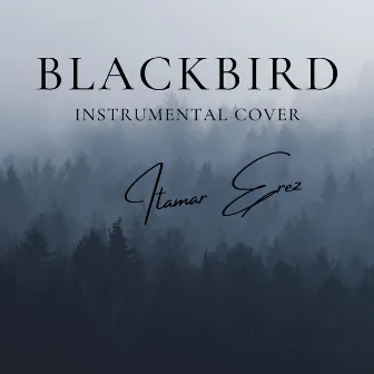 Blackbird (Instrumental Cover) by Itamar Erez